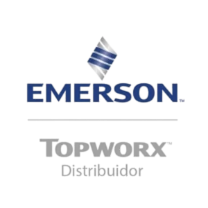 flowval emerson topworx